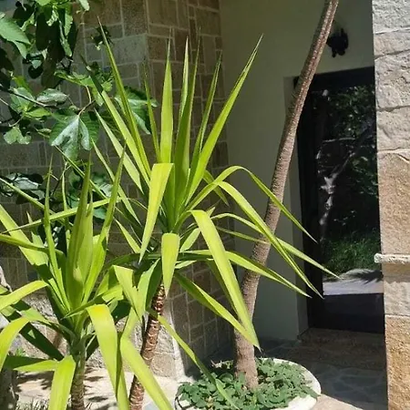 Casa de hóspedes Aaa 3*