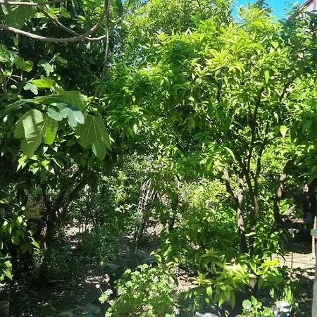 Casa de hóspedes Aaa 3*
